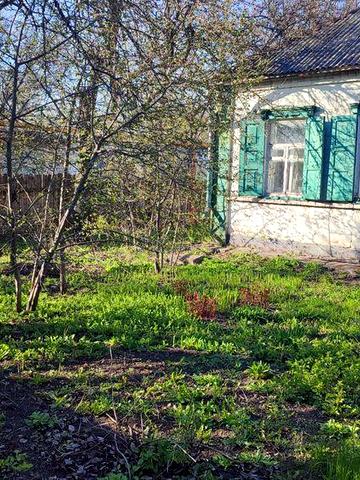 Будинок в смт. Царичанка