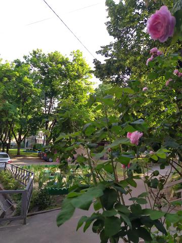 Руслана Плоходька вул., 4а