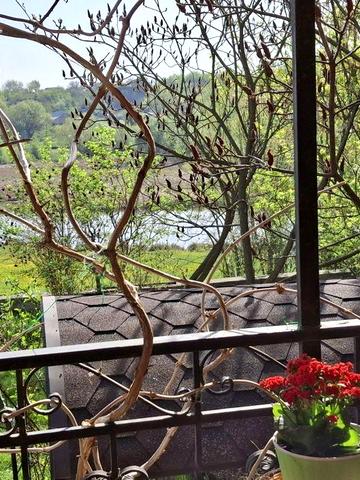 Продаж Будинок з бомбосховищем і власним виходом до річки