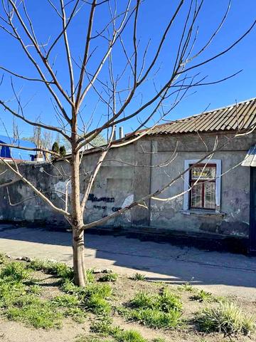 Погранична, 37