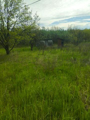 Продам дачу. Есть маленький сарай. Туалет на улице.