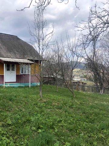 Продається будинок та літня кухня село пороги