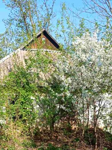 Продається старий будинок на ділянці 25 соток під забудову, власник