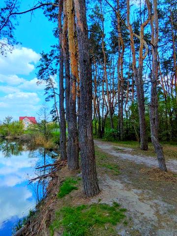 З Ремонтом! Будинок на Березі р. "Ворскла" 28 Соток. Р-н. Крутий берег