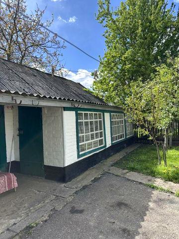 Цегляний будинок у с. Велика Багачка Полтавська обл.