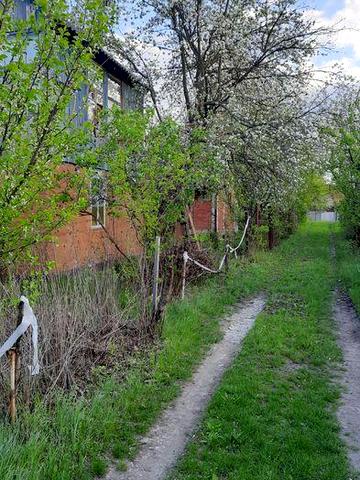 Продам дачу,с.Абазівка