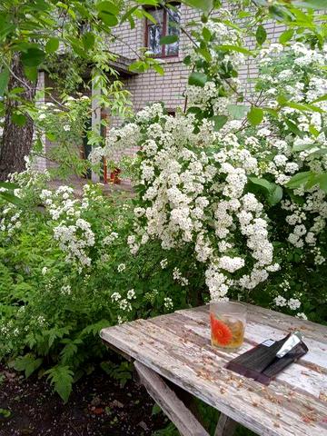 Продам трикімнатну квартиру у Лисянці