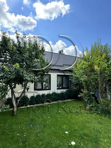 Центральна вулиця