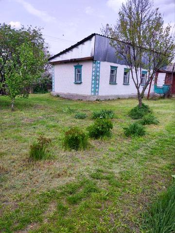 Продам будинок під дачу с. Піщаний Брід Олександрійський район