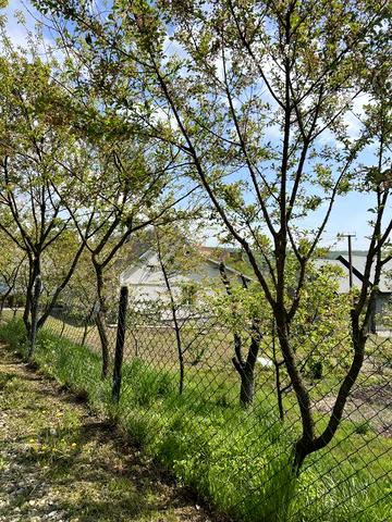 Продаж! Будинок та ділянка 25 сот Старе Село недалко від Львова