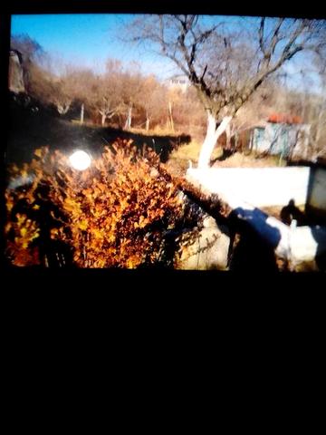 Продаю дачу, "Красногорье" Пересадовка,5,5 сотки,60000 гр, торг