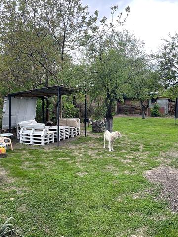 Продам будинок в центрі міста