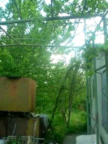 Продаю участок -дачу с. Барабой, кооператив "Альфа"