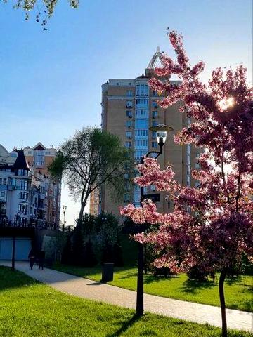 Долгосрочная аренда 3к.  квартирі на пр.Володимира Ивасюка 6,ЖК Оазис