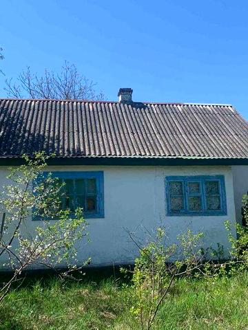 Стара деревяна хата із земельною ділянкою 29,5 соток