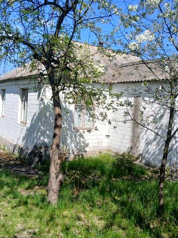 Будинок дача чекає на дбайливого господаря. смт. Стеблів