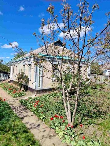 Будинок місто Звенигородка