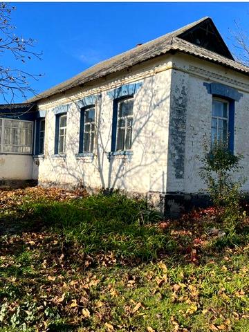 Будинок під дачу або для життя