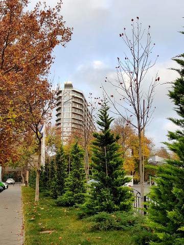 Французький бульв., 85/5