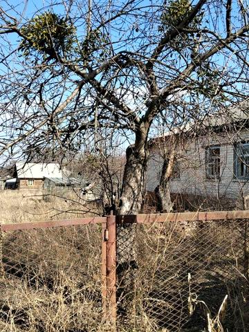 Будинок в любечі