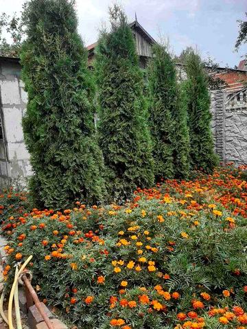 Продам дачу на Барановке