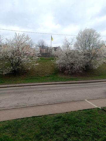 Продаж 3 кімнатної квартири в Трускавці