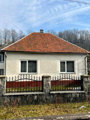 Продам будинок з ділянкою 38 соток