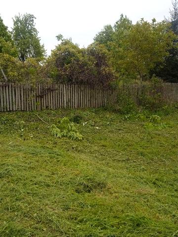 Продам будинок Львівська область яворівський район село новини