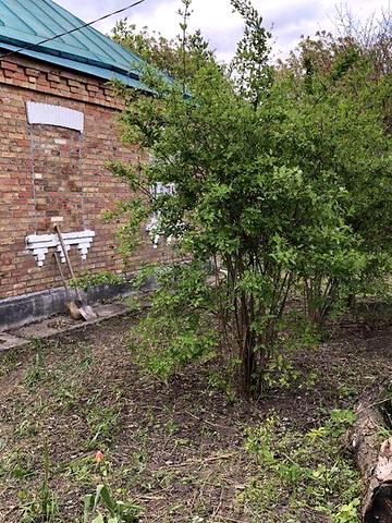 Продаж 3к Дім Шевченка вулиця