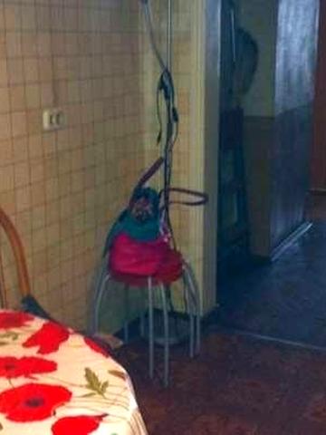 Сдам квартиру в Южном по ул.Химиков 12 на постоянку без выезда на лето