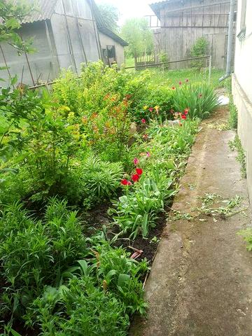 Продаж добротного будинку