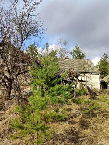 Партизанська, 87