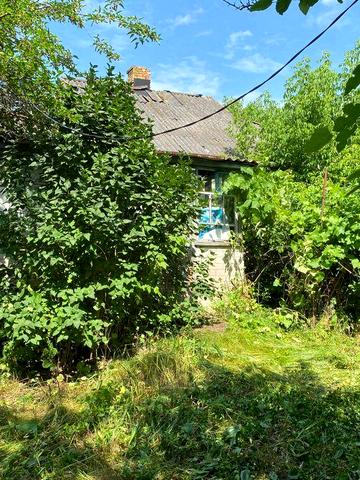 Продаються земельні ділянки і старий будинок с. Старе, Київська обл.