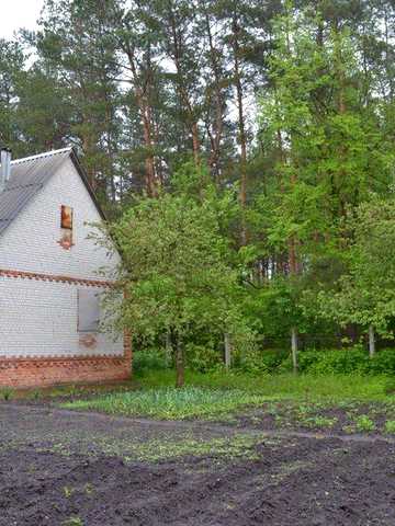 Продам дачу в Сумах (Баранівка, Блактині озера)