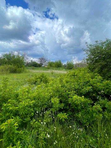 будинок пів будинку