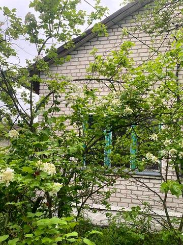 Здам будинок в Брусилові (Покришів)