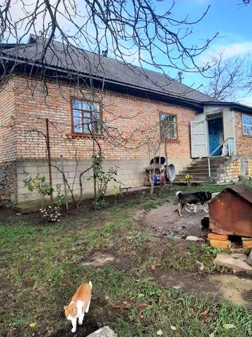 Продам будинок Благові́щенське