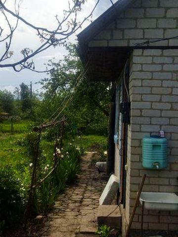 Дачна ділянка в товаристві "Дубовець"дві ділянки разом.Десять соток.