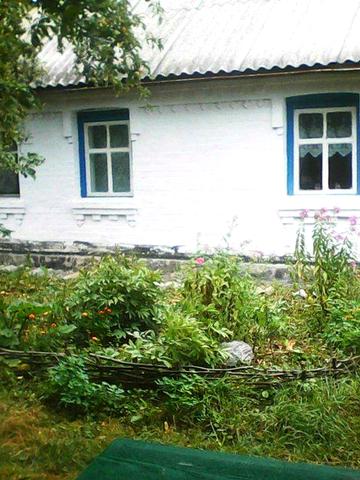 Продаємо будинок в с. Пустоварівка Білоцерківський район Київська обл.