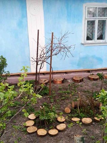 Земельна ділянка  з будинком   біля   Дубно