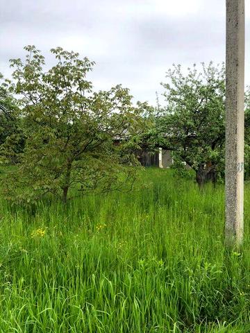 Господарство у с.Верхні Станівці