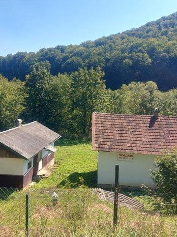 Будинок в Карпатах