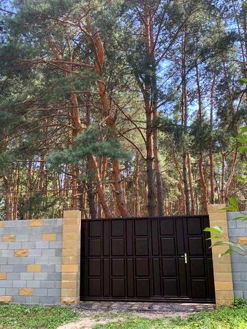 Продам дом в сосновом лесу Орловщина