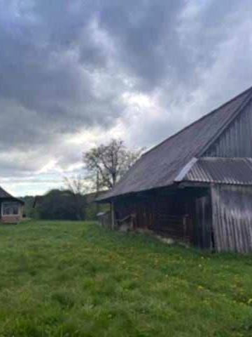 Будинок з зем. ділянкою біля р.Стрий у  с.Матків