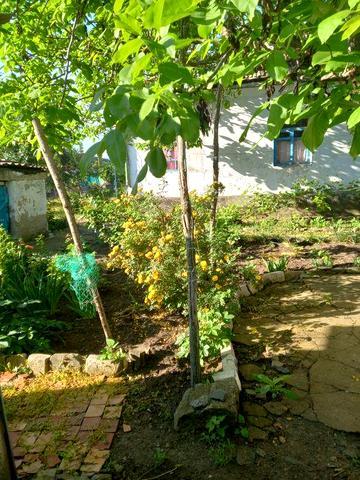 Продається Будинок