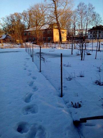 Будинок 2-х поверховий Шостка