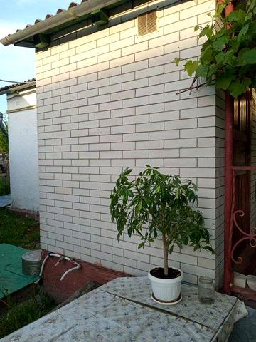 Здам будинок вулиця Механізаторів, 99. Викуп, є ньюанси!