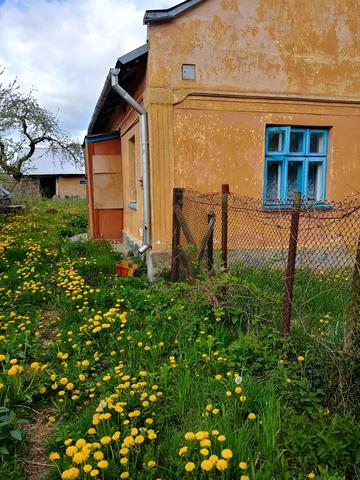 квіткова, 305