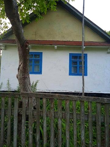 Будинок садиба біля лісу