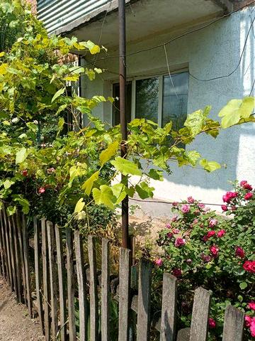 Продаж квартири 3+1 у м.Благовіщенське, Кіровоградскої обл., 58 кв. м.